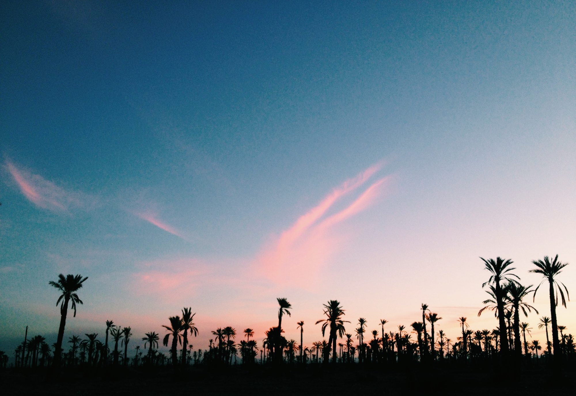 A Sunny Winter Break in Marrakech