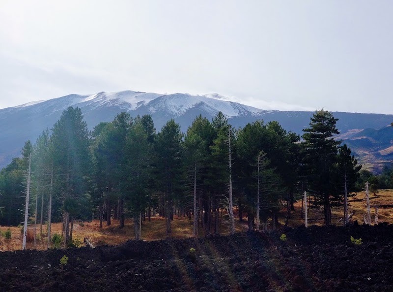 On the road to Etna